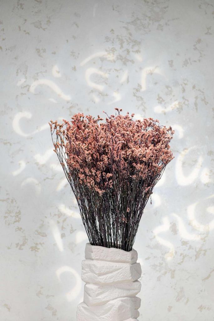 Лимониум Стар