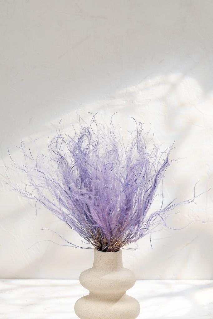 Стифа (Ковыль)