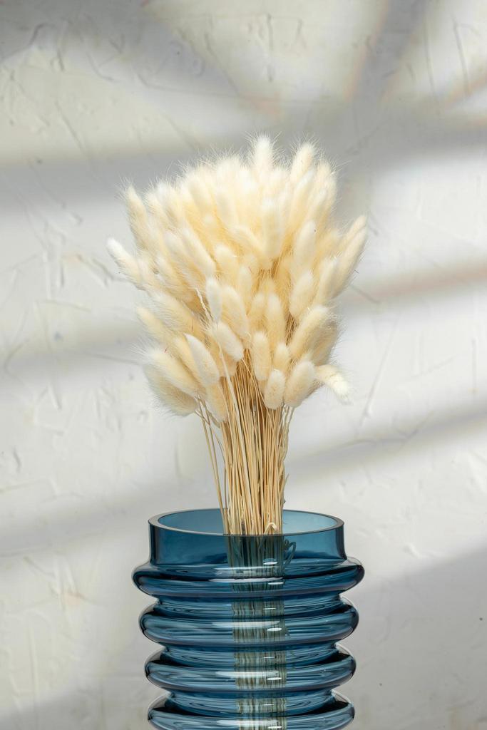 Лагурус 150 веток