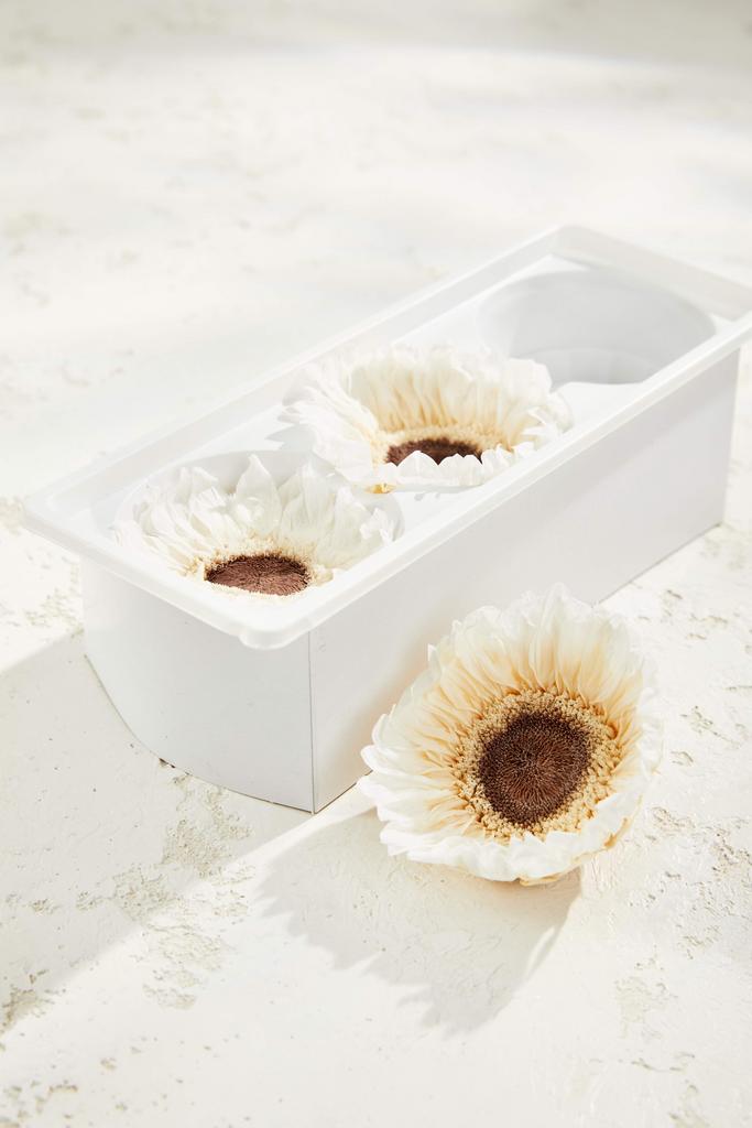 Подсолнух (9 см)