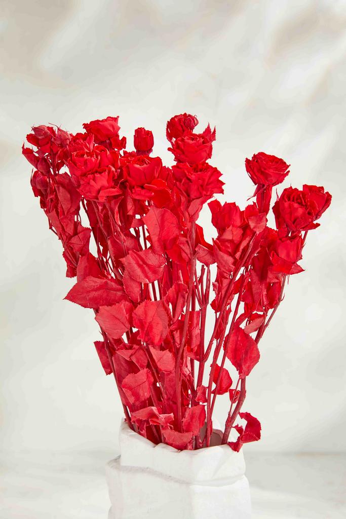 Кустовая роза