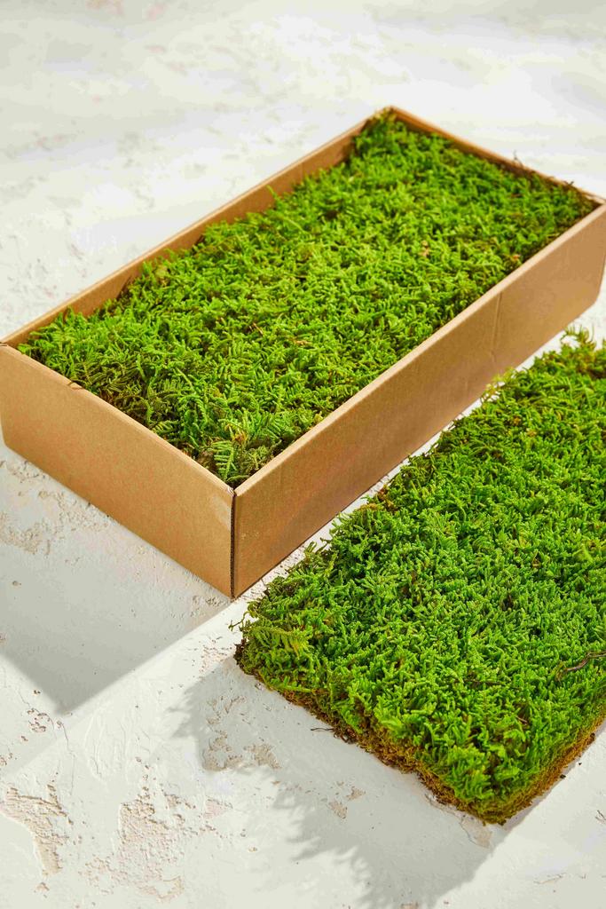 Мох в рулоне