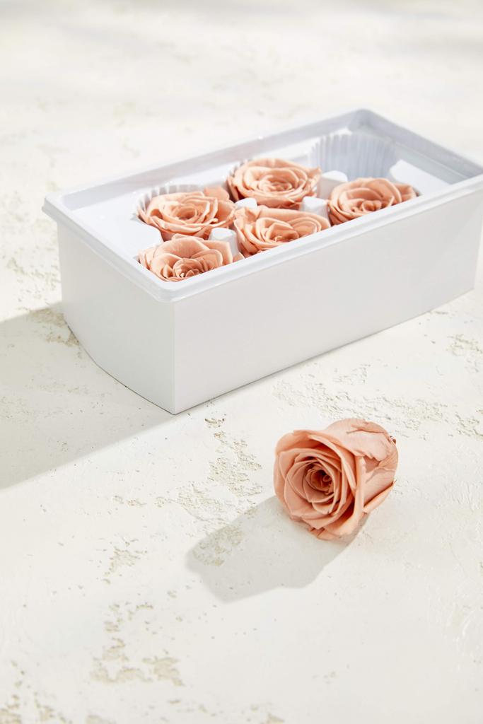 Премиальная роза