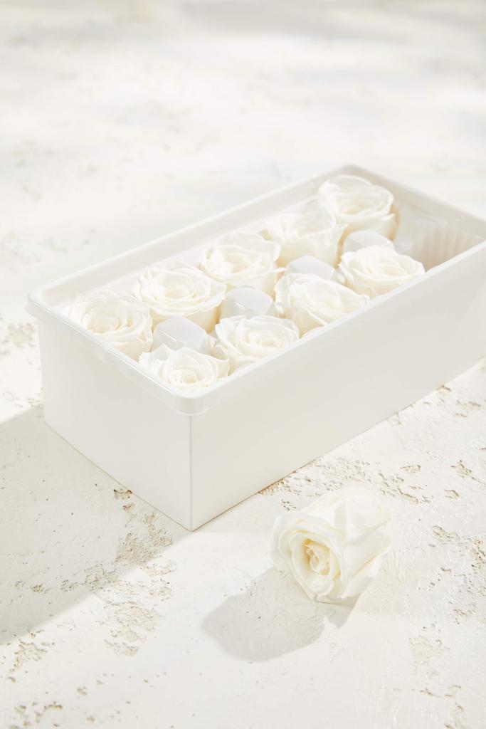 Премиальная роза (10 шт.)