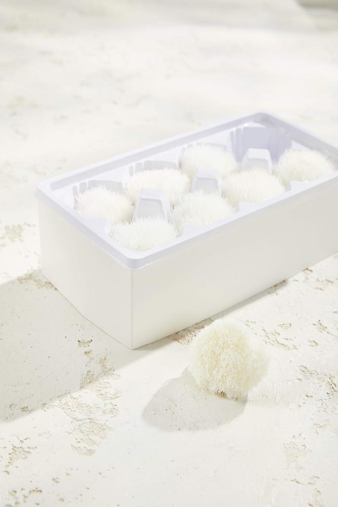 Диантус Грин Трик (8 шт. в кор.)