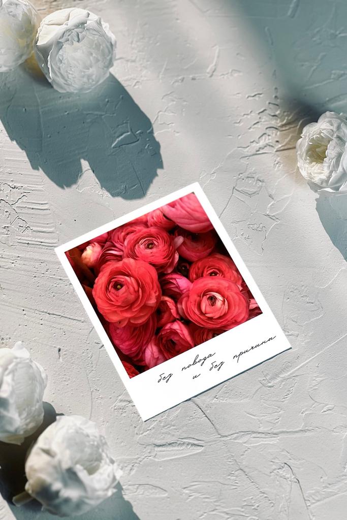 Фотокарточка "Без повода и без причины"