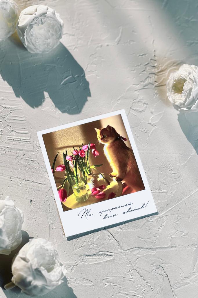 Фотокарточка "Ты прекрасней всех цветов"