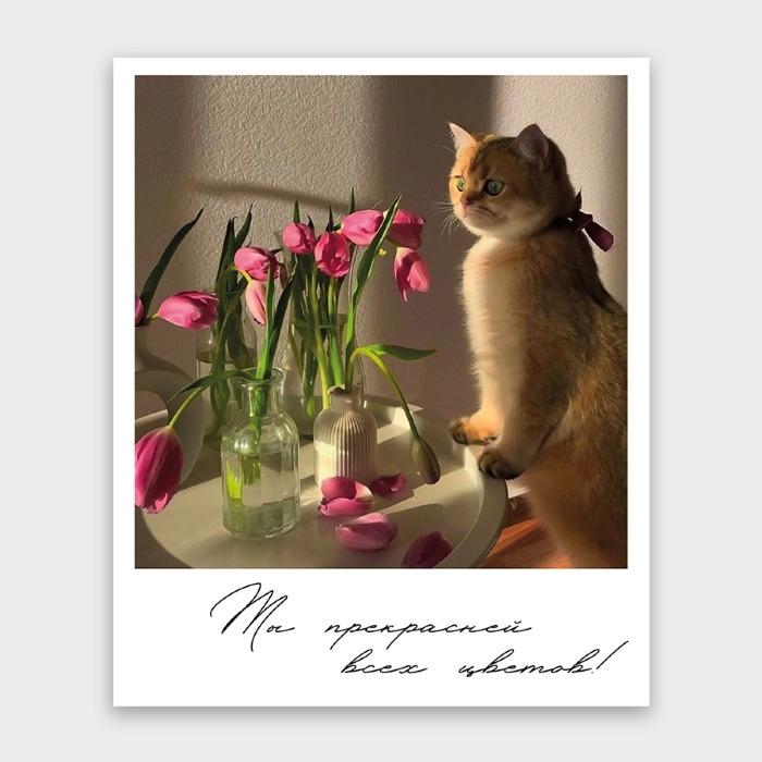 Фотокарточка "Ты прекрасней всех цветов"