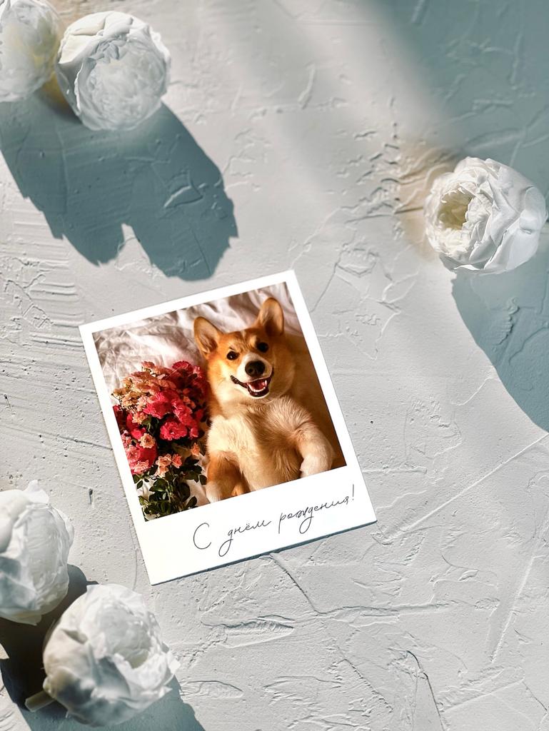 .Фотокарточка "С днем рождения"