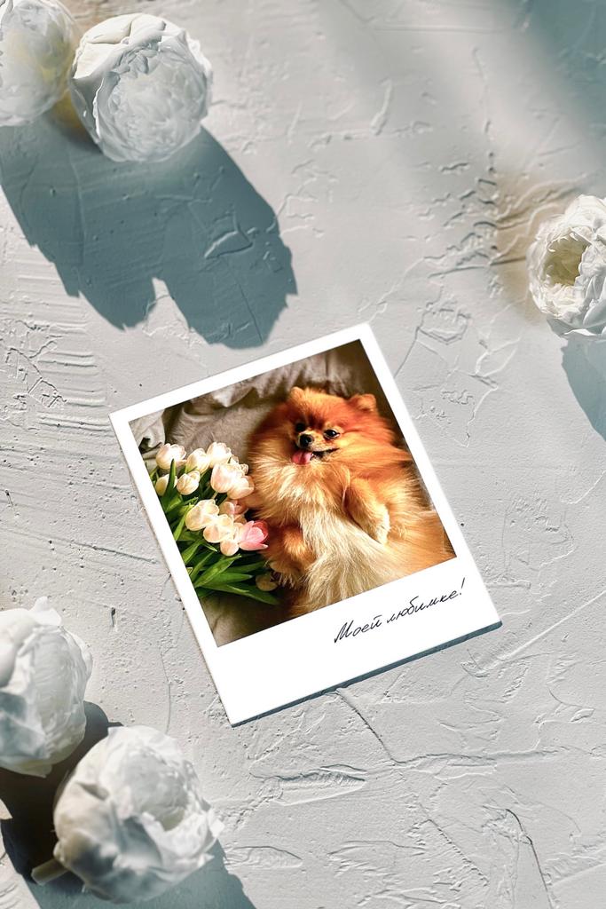 Фотокарточка "Моей любимке"