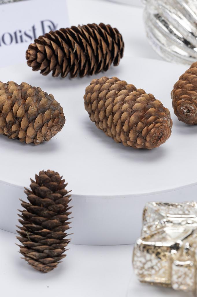 Шишка еловая - набор из 5 штук