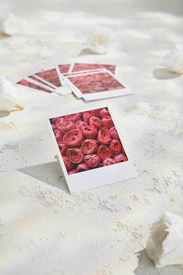 Фотокарточка - Яркие розы "Без надписи"