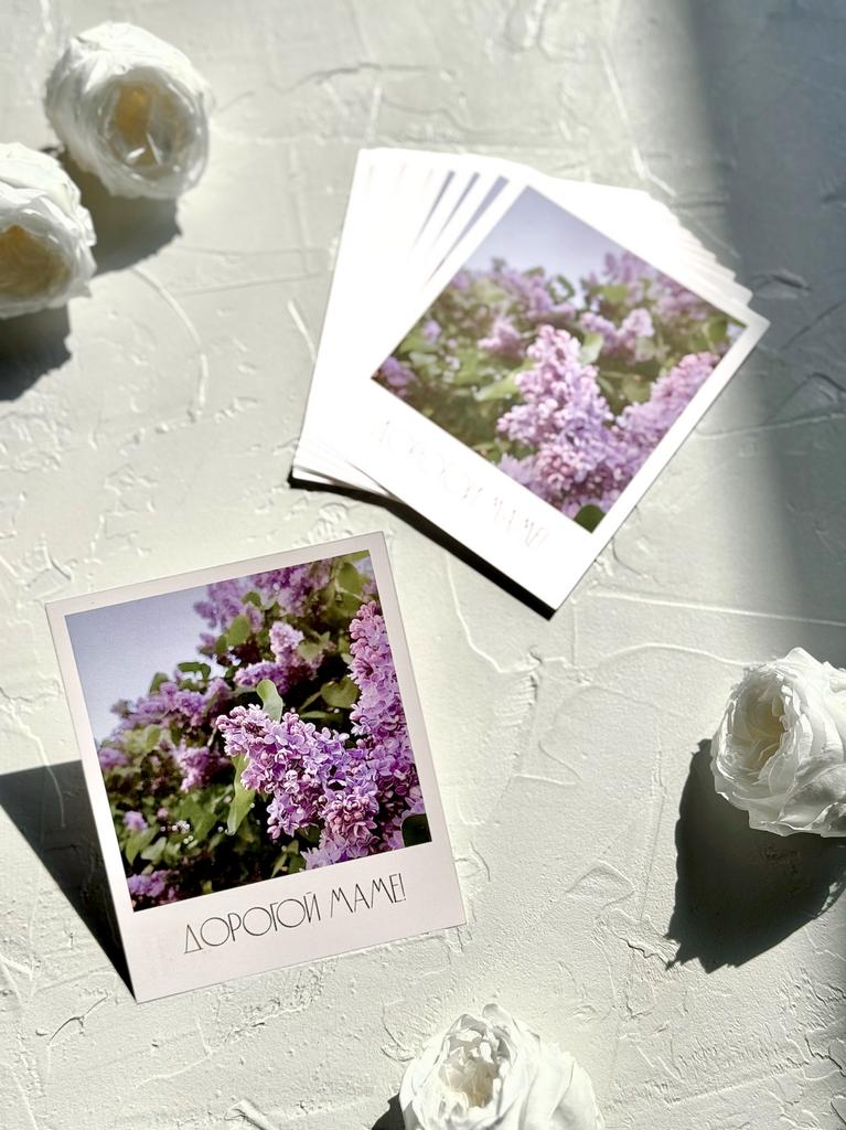 Фотокарточка "Дорогой маме" - Цветущая сирень