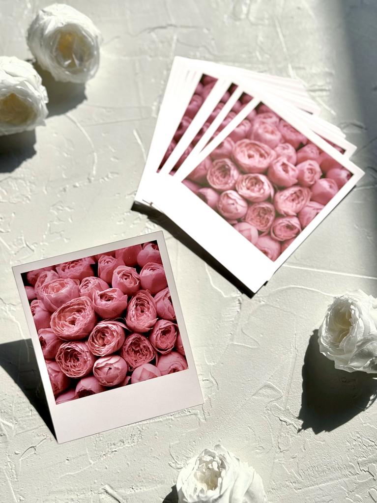 Фотокарточка "Пионовидные розы" - Без надписи