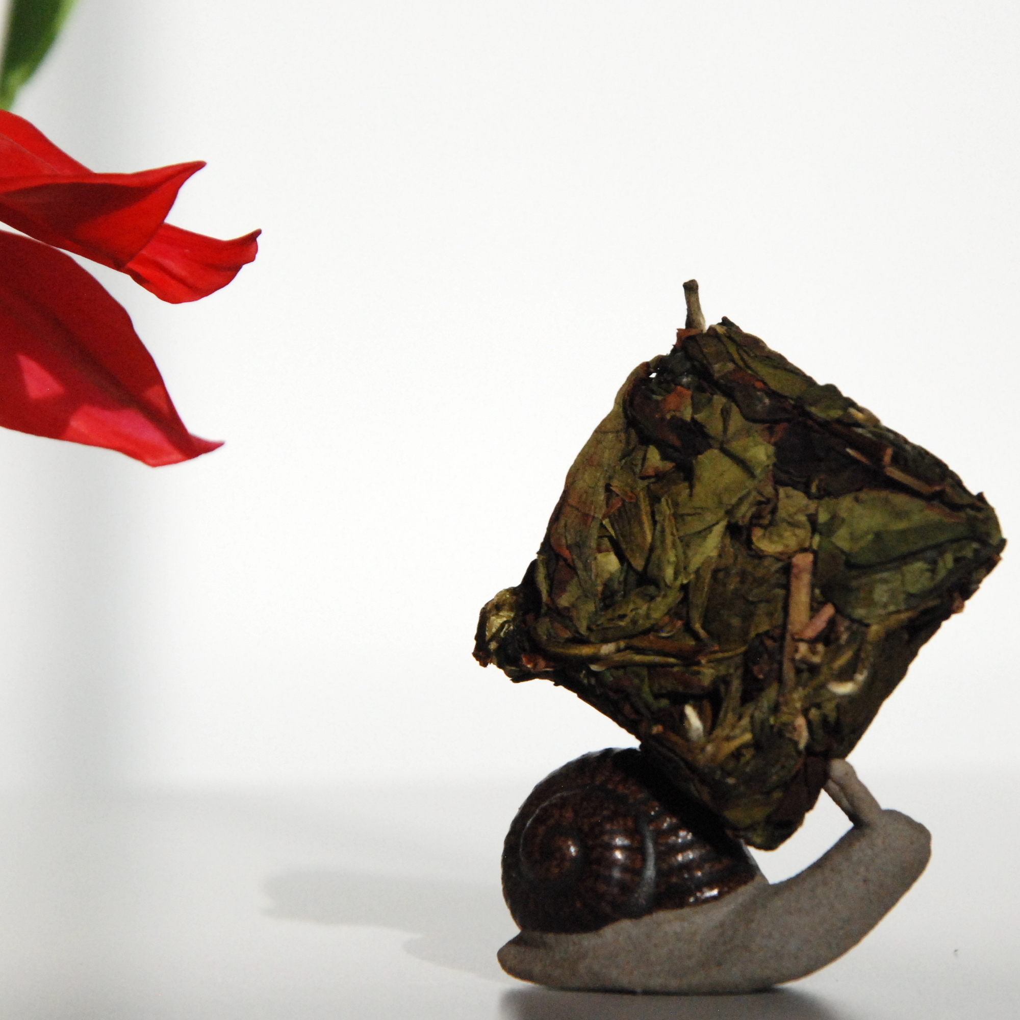 СВЕТЛЫЙ ШУЙСЯНЬ