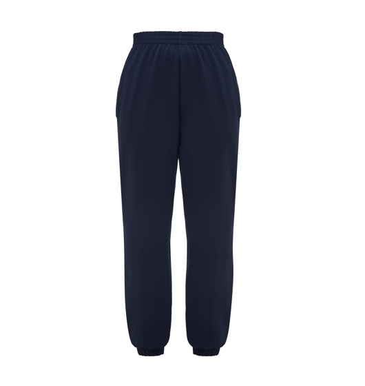 Брюки джоггеры цвет синий