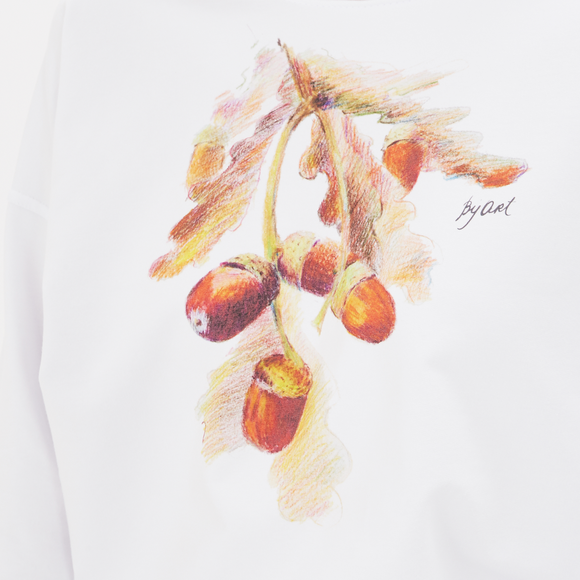 Свитшот с принтом Желуди