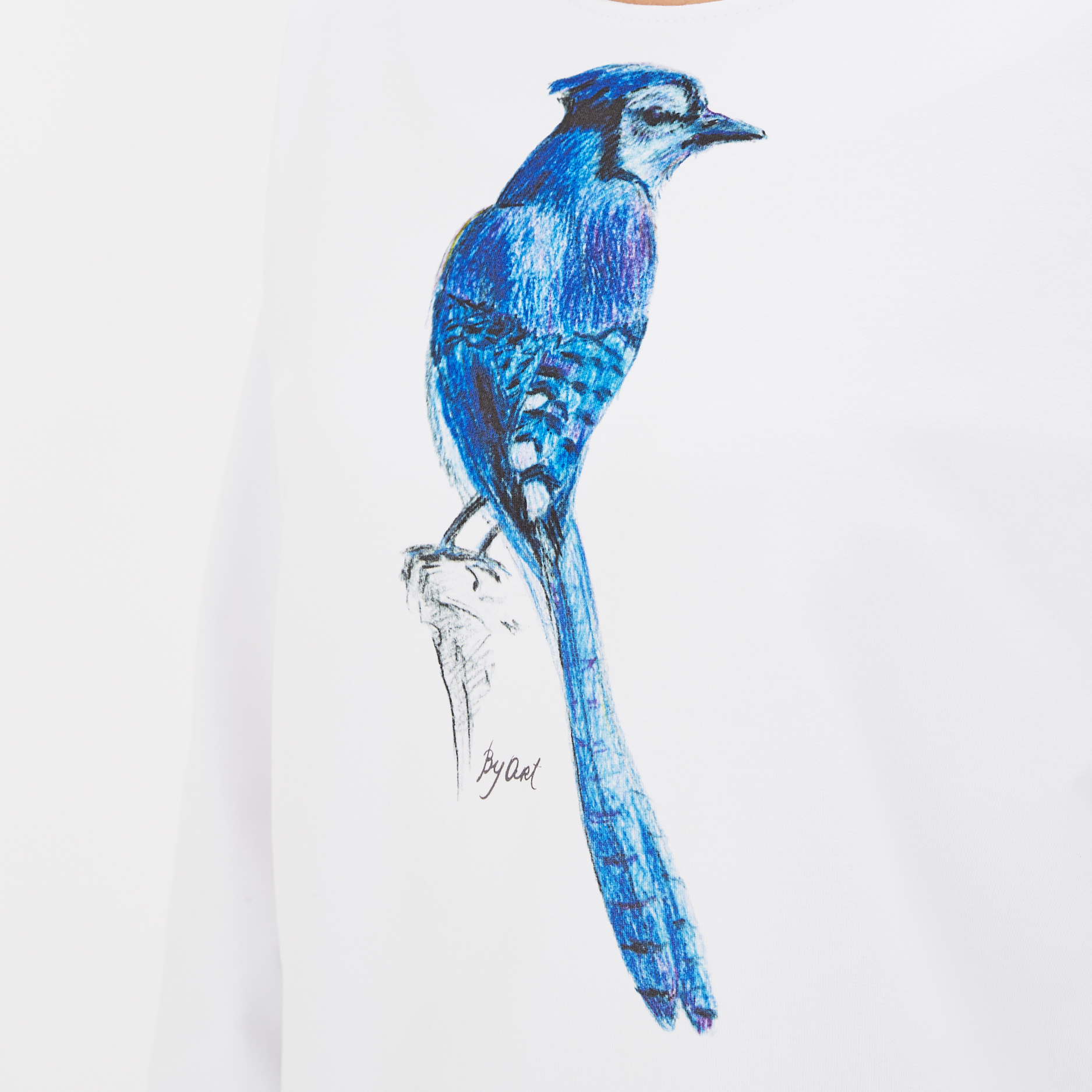 Свитшот с принтом Сойка