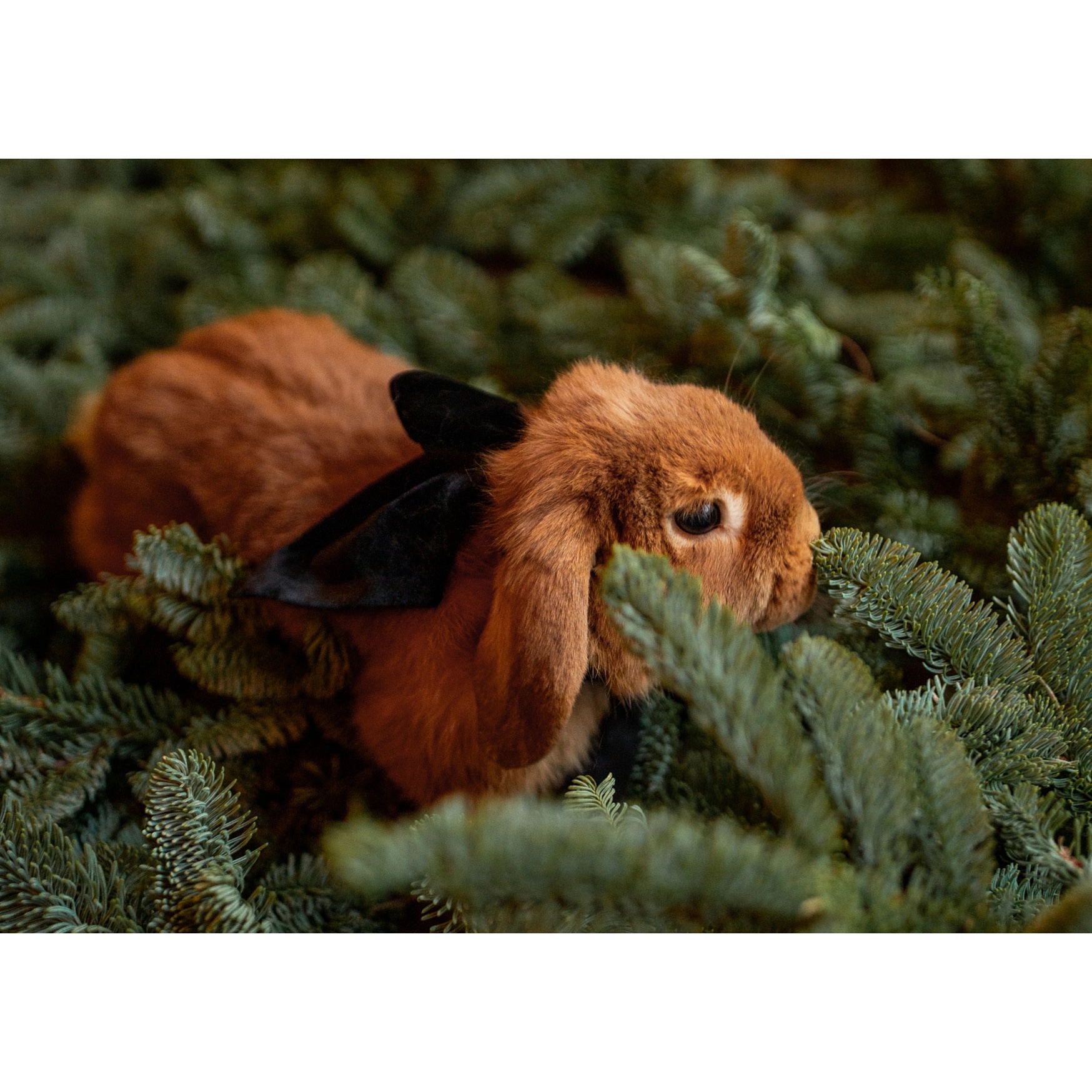 Новогодние открытки GREY CHIC