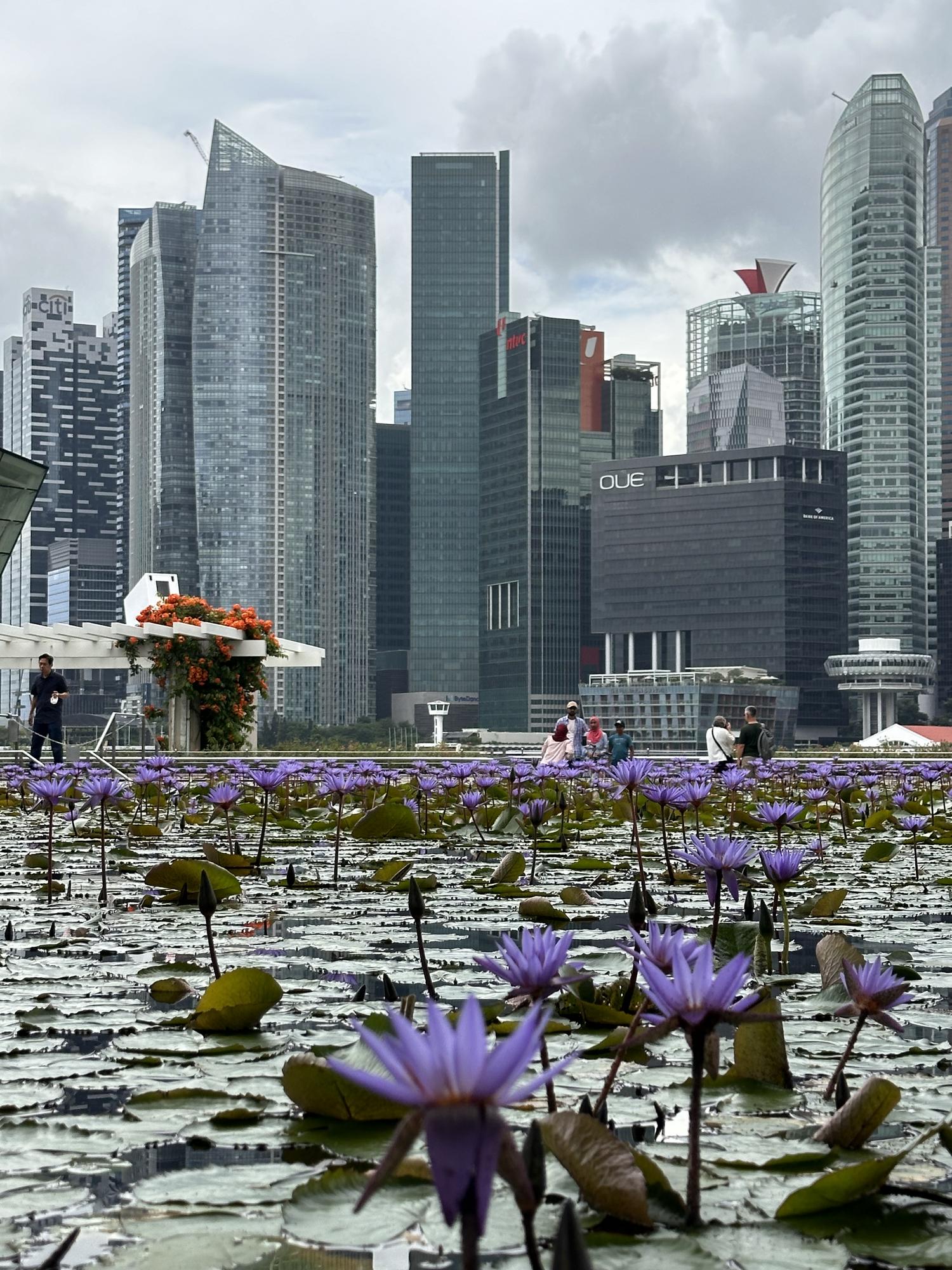 Гайд по Сингапуру