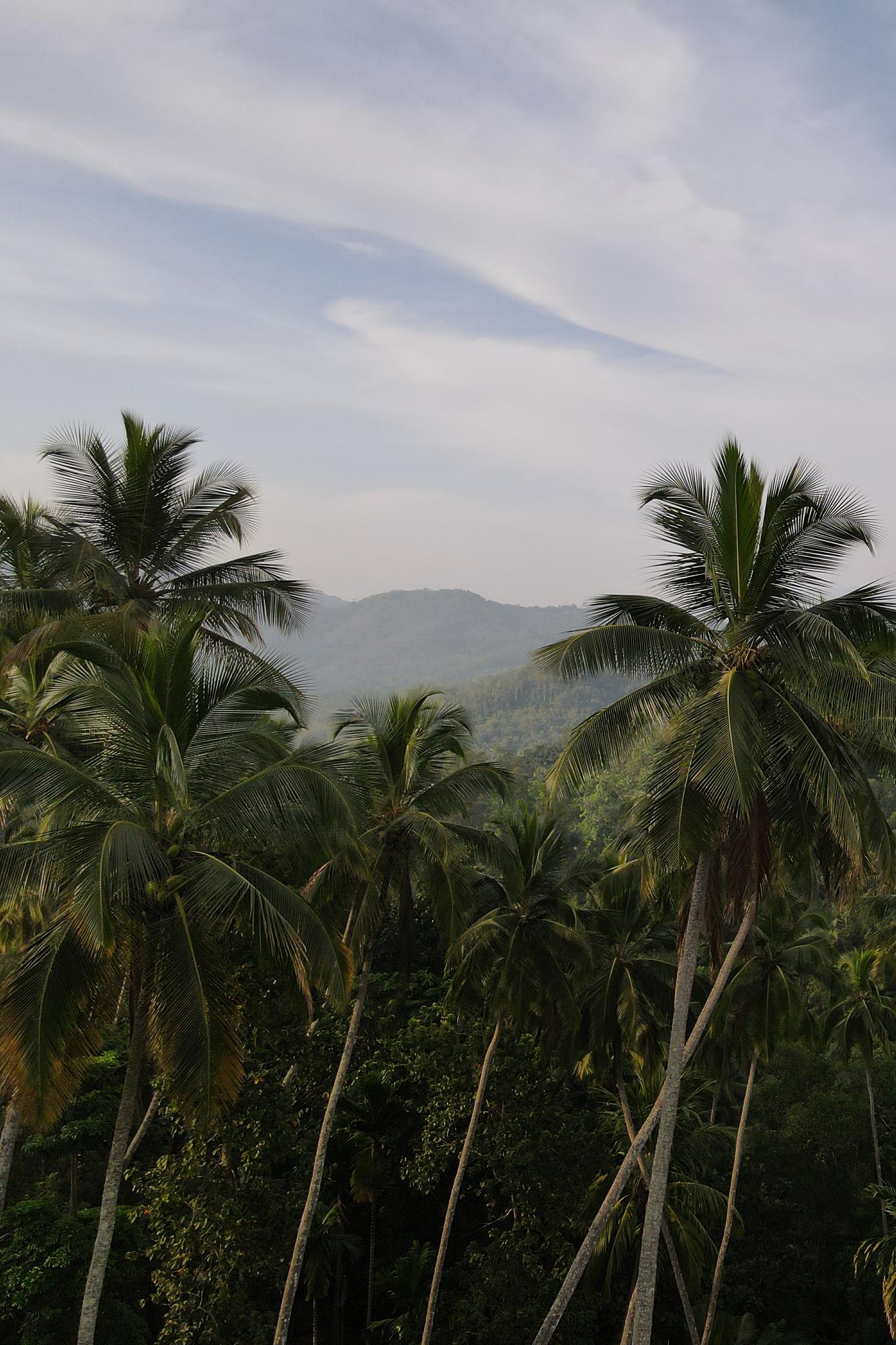 Гайд по Шри-Ланке