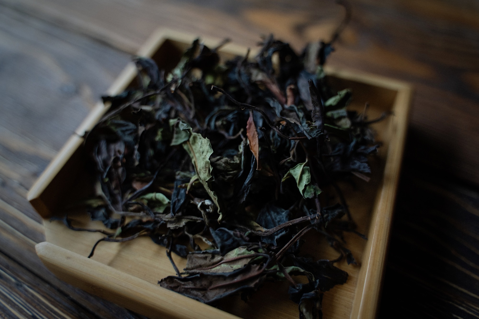 Белый чай с 1800 летнего дерева (моносырье)