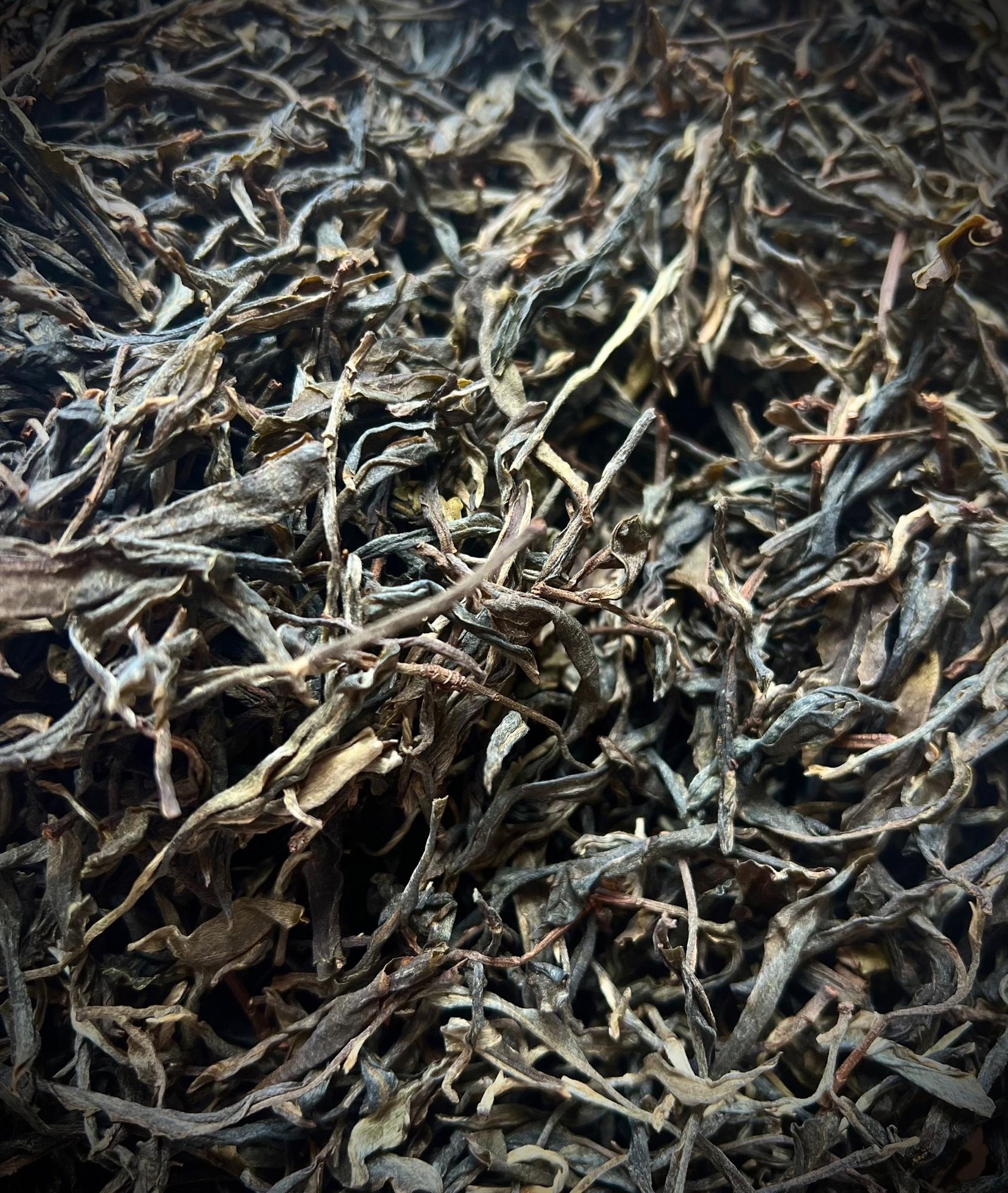 Шен Пуэр из ИУ / 2023г.