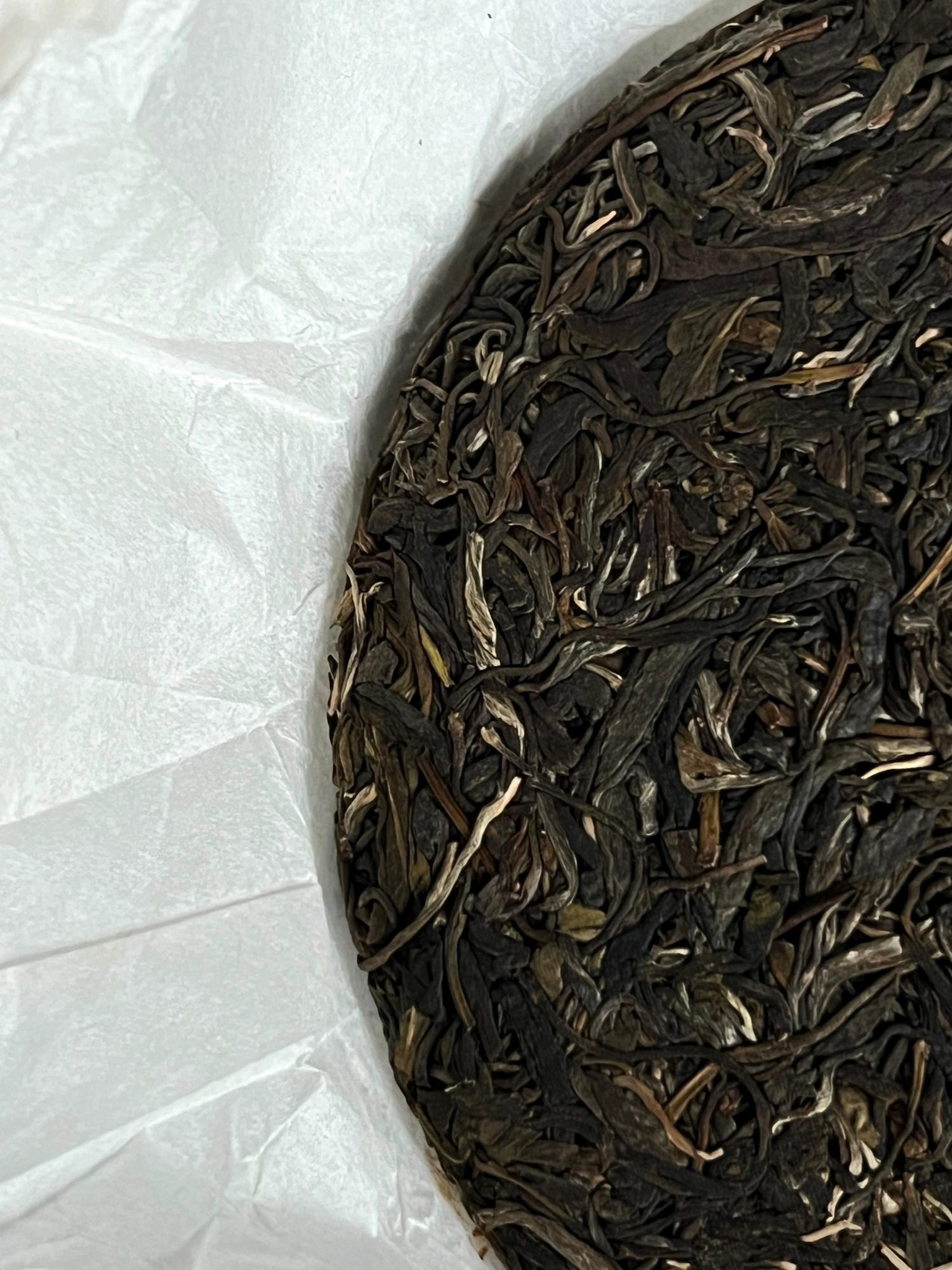 Шен Пуэр из Бан Чжан "Питание Жизни 108"/2024г.