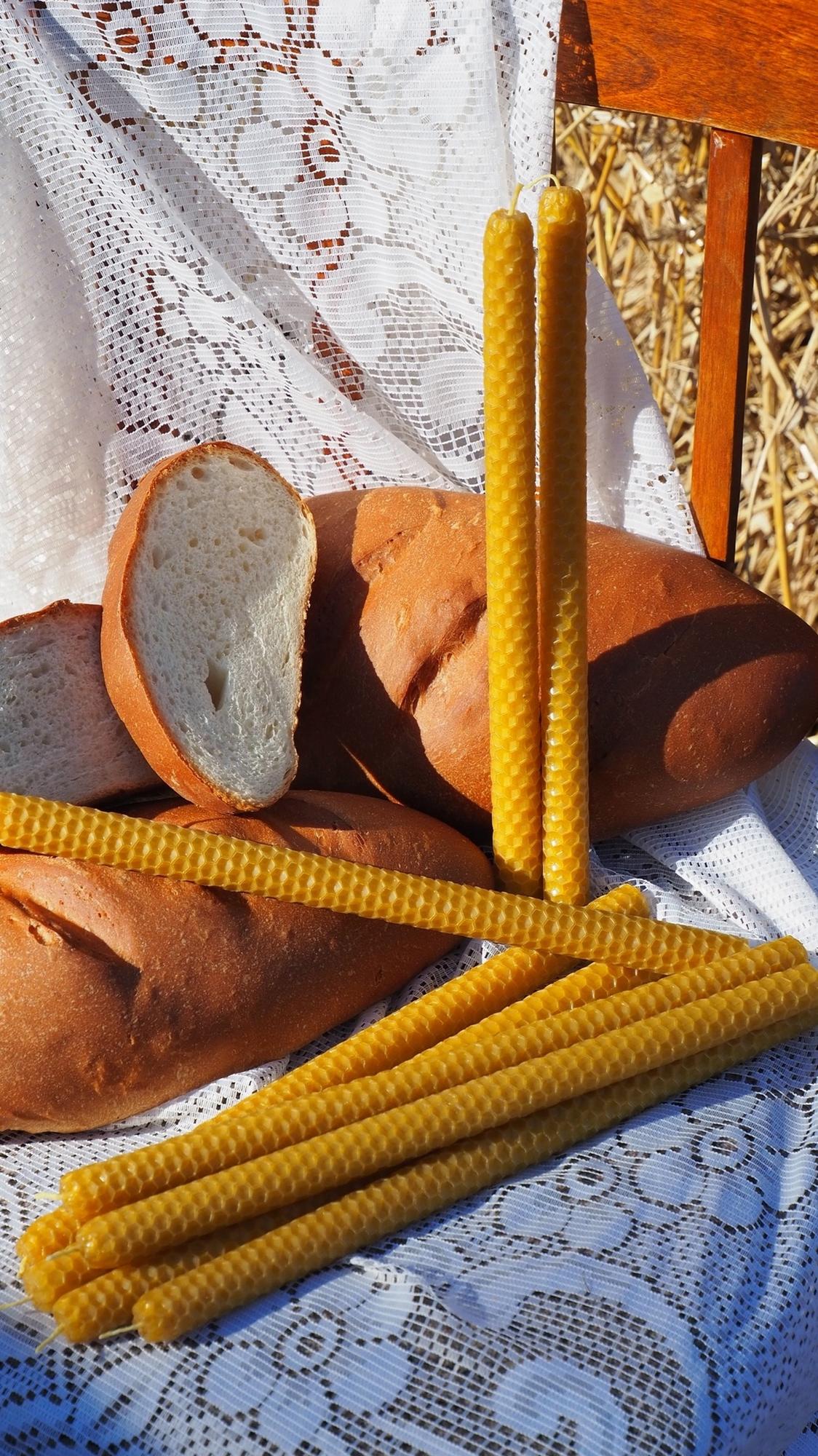 Сеча из вощины