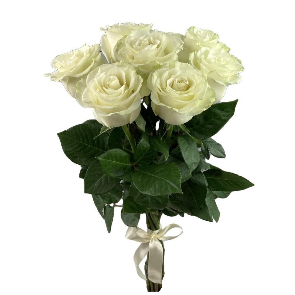 Букет из 7 роз(Эквадор 70см)