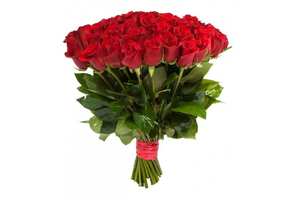 Букет из 51 роз(Эквадор 70см)