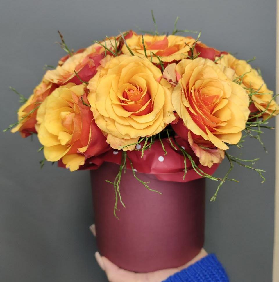 Композиция №0095