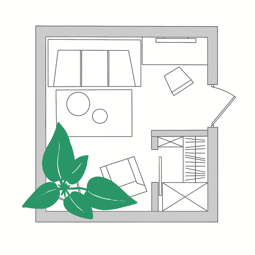 ПРОЕКТ ОЗЕЛЕНЕНИЯ