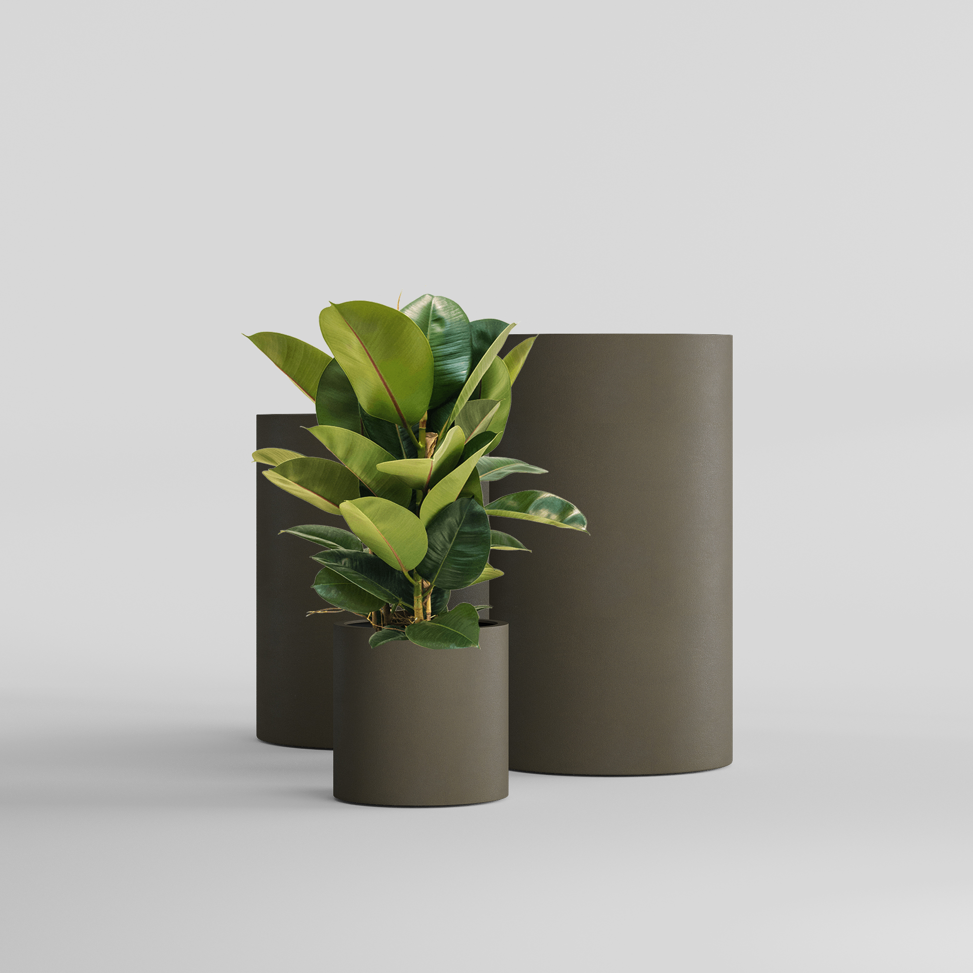 КАШПО CYLINDER D40 H40 OLIVE