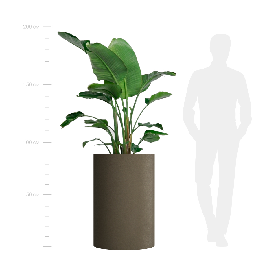 КАШПО CYLINDER D60 H90 OLIVE