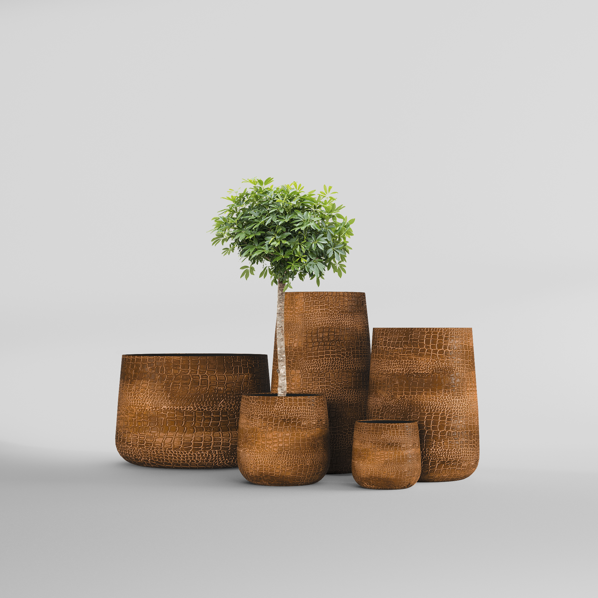 КАШПО CONE D32 H36 CAYMAN BROWN