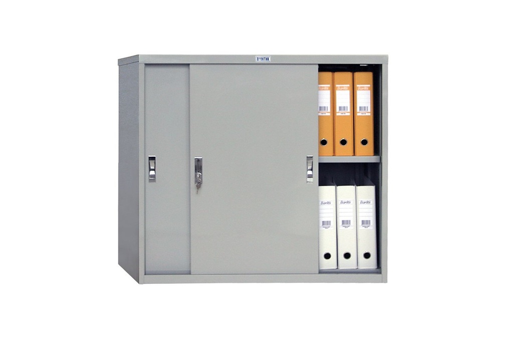 Шкаф-купе архивный AMT 0891