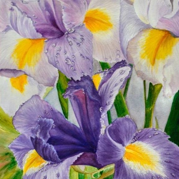 цветы акварель натюрморт сиреневые ирисы капля росы
