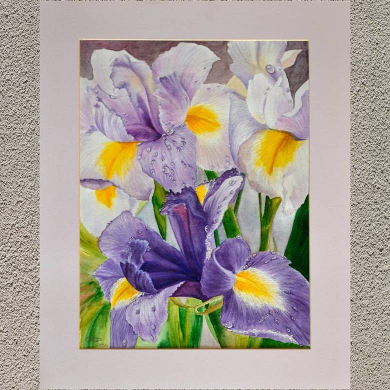 цветы акварель натюрморт сиреневые ирисы капля росы