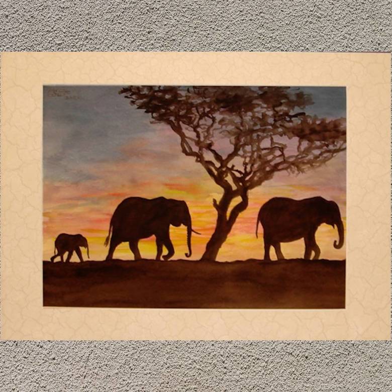 животные портрет пейзаж слоны закат баобаб анималистика 124