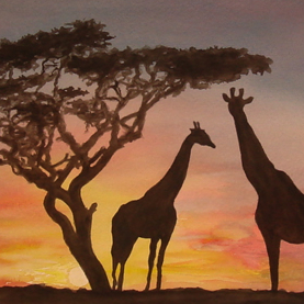 животные портрет пейзаж жирафы закат солнце баобаб анималистика 125
