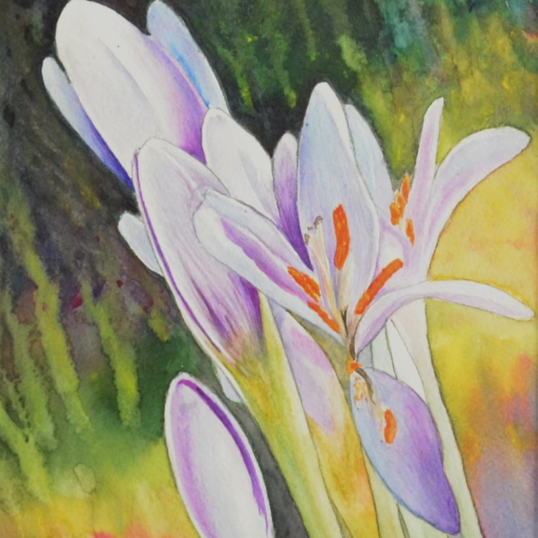 "Крокусы" № 229