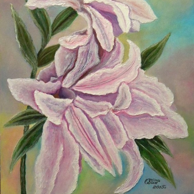 Розовые лилии 239