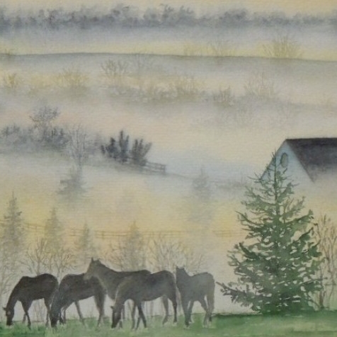 Лошади в тумане 241