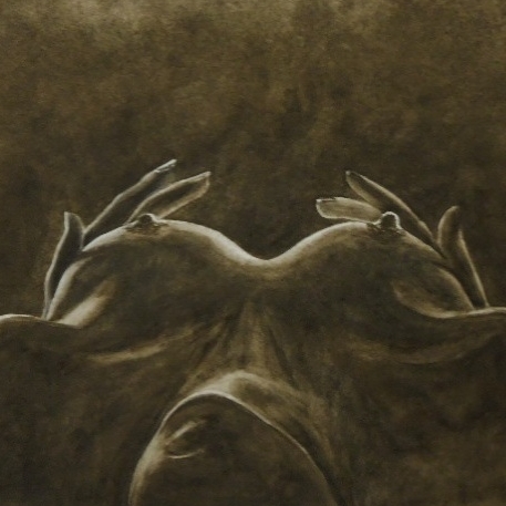 Предвкушение-3 № 250