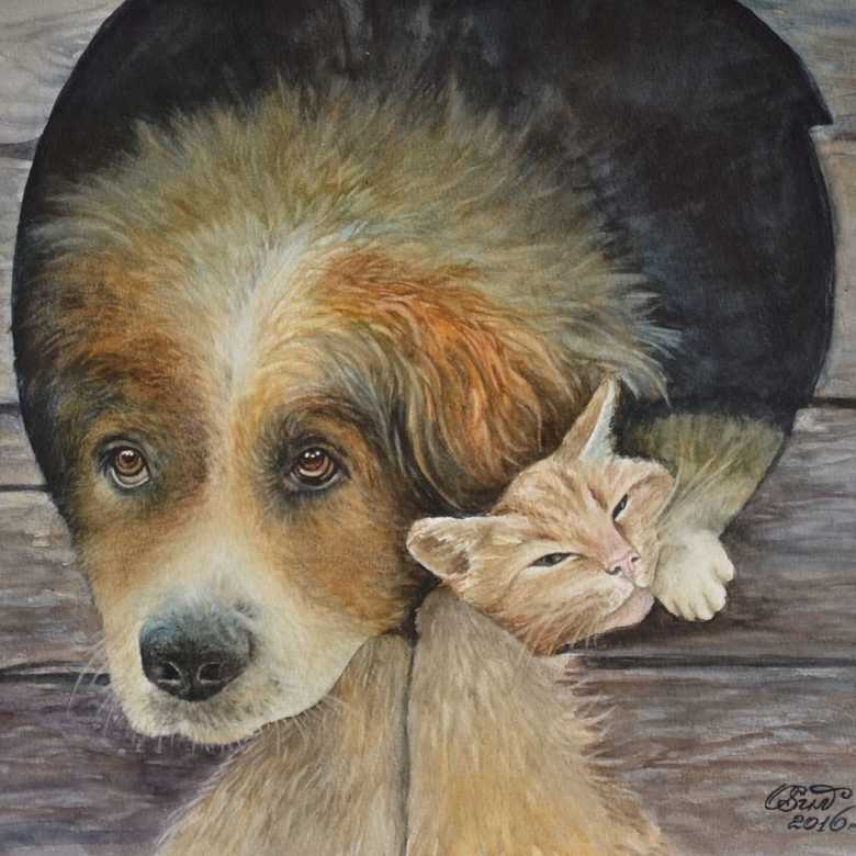 В гостях у Полкаши  № 280