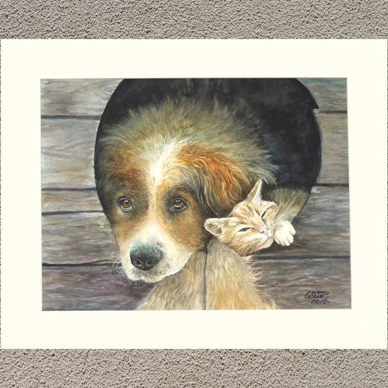 "В гостях у Полкаши"  № 280