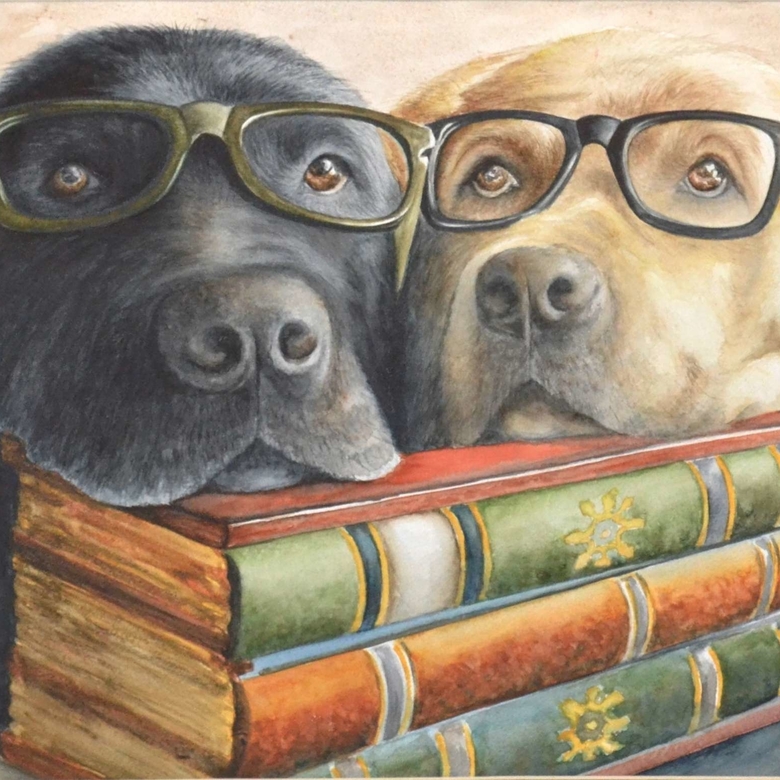 Лабрики-очкарики  № 293