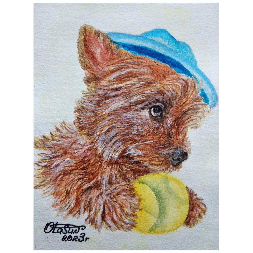 "Ерик в шляпке" № 339