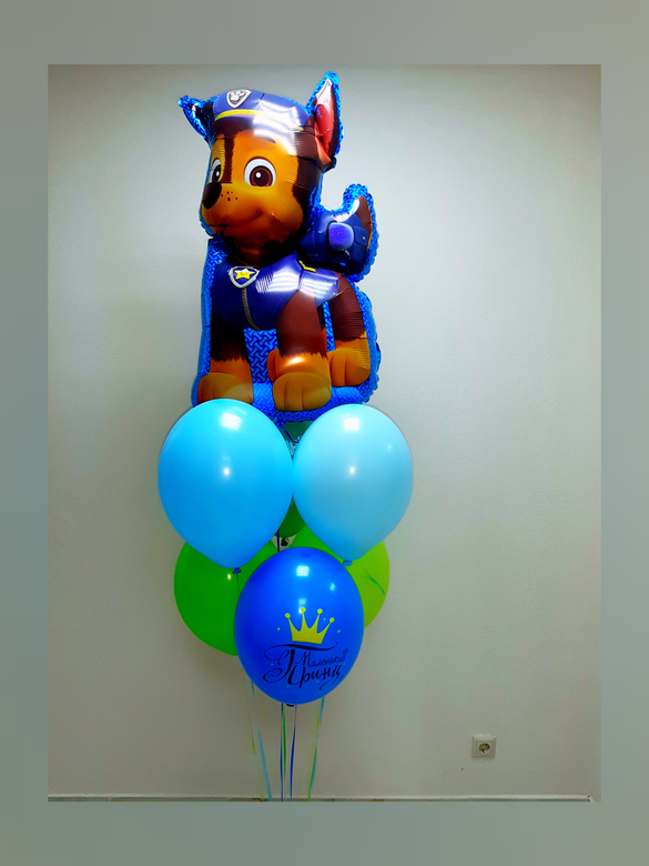 Букет Щенячий Патруль